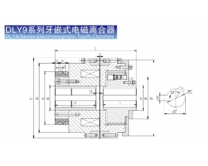 DLY9牙嵌式電磁離合器